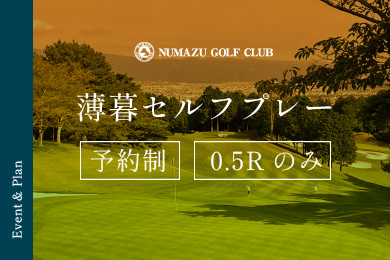 薄暮セルフプレー