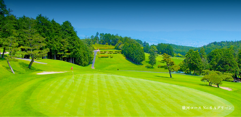 駿河コース No.6 Aグリーン